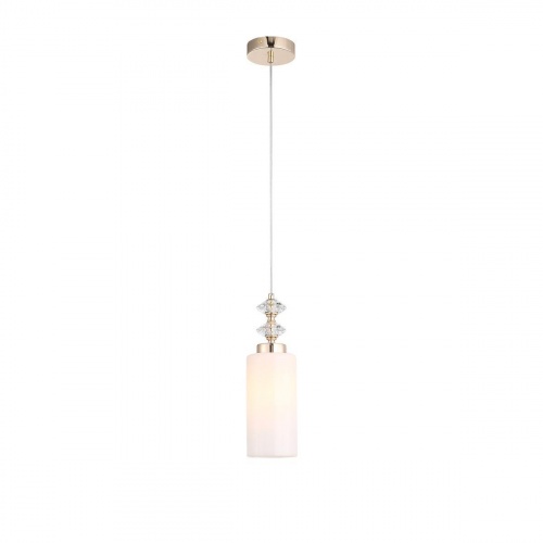 Подвесной светильник ST Luce Elegra SL1402.253.01
