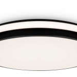 Потолочный светильник Freya Пирог / Pie FR6086CL-L117B