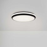 Потолочный светильник Freya Пирог / Pie FR6086CL-L117B