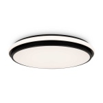 Потолочный светильник Freya Пирог / Pie FR6086CL-L117B