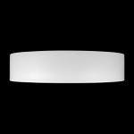 Потолочный светильник Loft it Coin 10202 WB