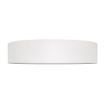 Потолочный светильник Loft it Coin 10202 WB