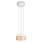 Подвесной светильник Loft IT Totem 10466P Amber matte