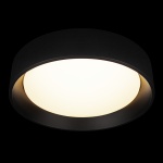 Потолочный светильник Loft it Coin 10202 BB