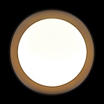 Потолочный светильник Loft it Coin 10202 BB