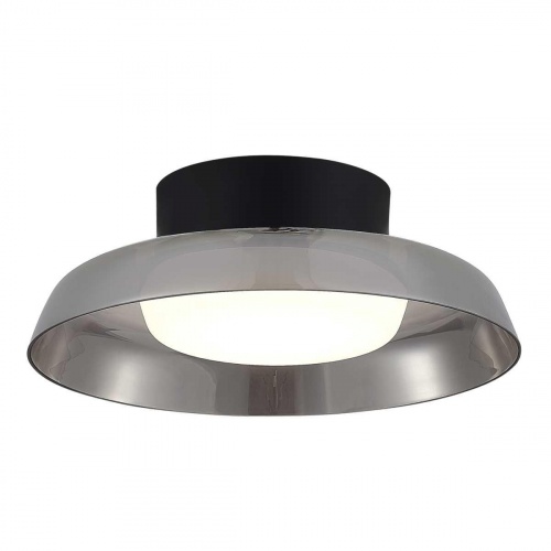 Потолочный светильник ST Luce Форей SL6019.412.01