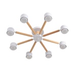 Люстра Lumion VUDI 8306/8C